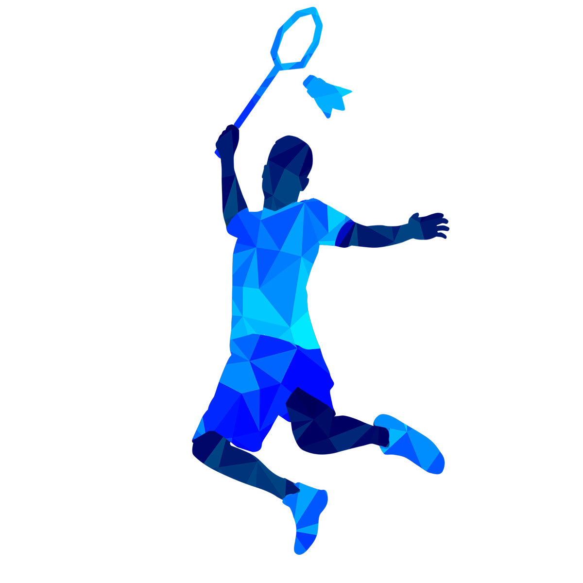00-羽毛球冠军—low aggregation olympic sports project_6317941